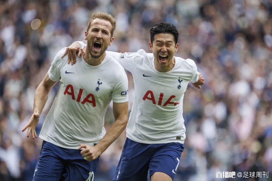 稳定方案 稳定方案